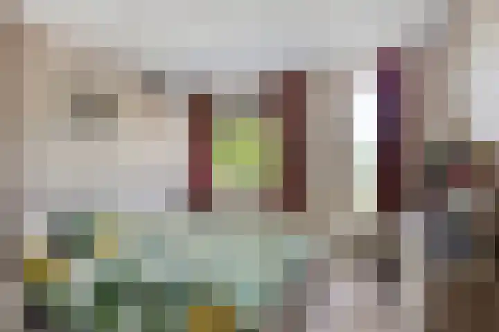 Beeldsweg 17 p Zuidland thumbnail 18
