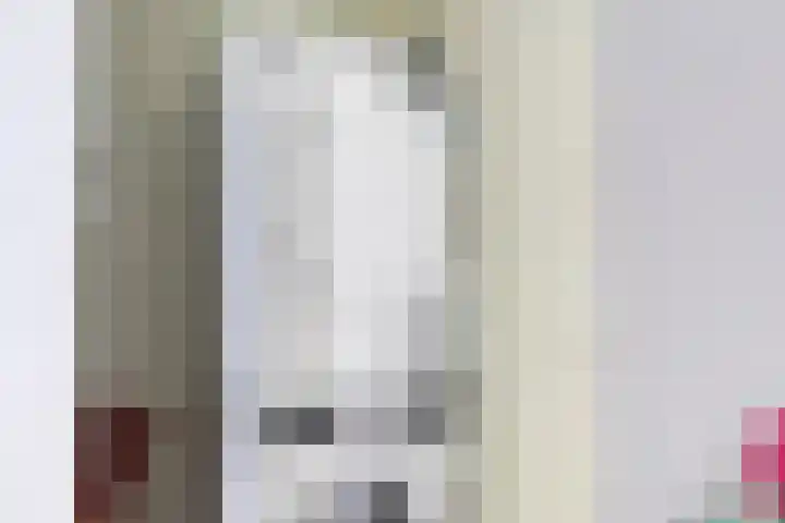 Beeldsweg 17 p Zuidland thumbnail 30