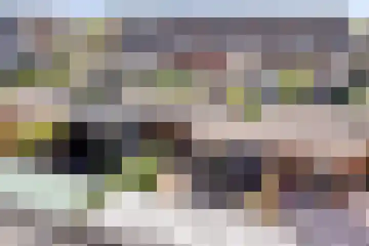 Beeldsweg 17 p Zuidland thumbnail 35