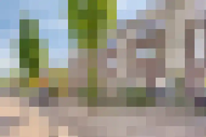 Beeldsweg 17 p Zuidland thumbnail 40