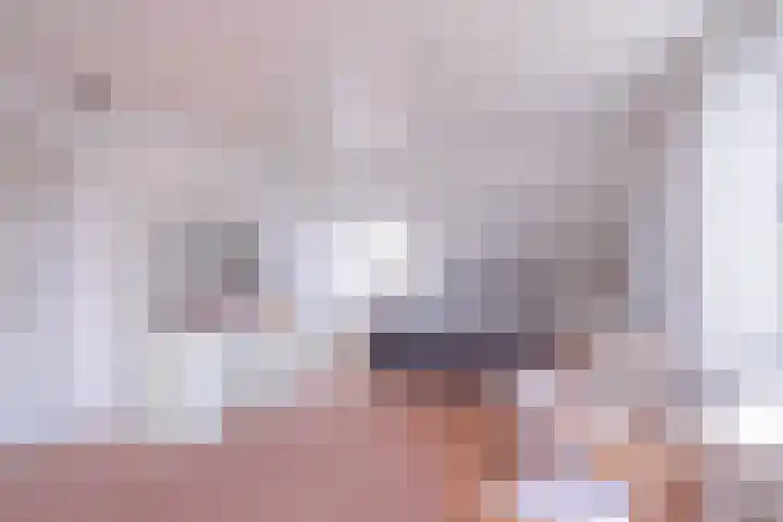 Beelenberg 13 Stein thumbnail 19