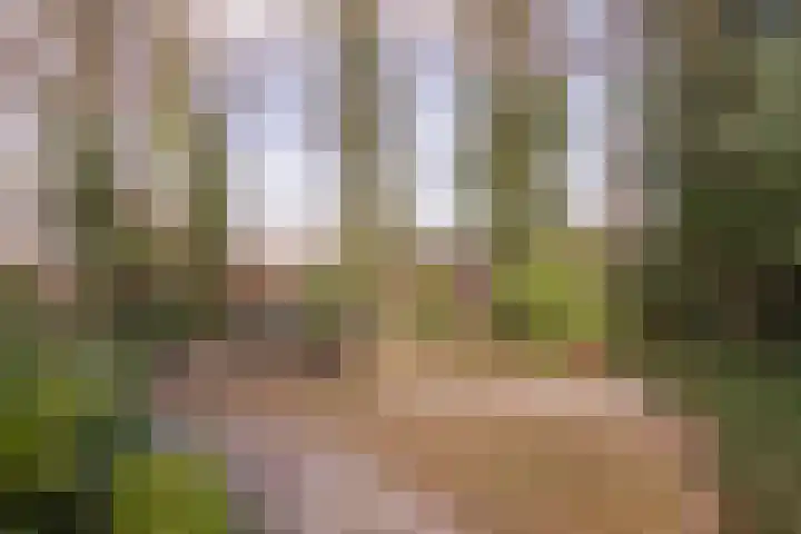 Beelenberg 13 Stein thumbnail 33