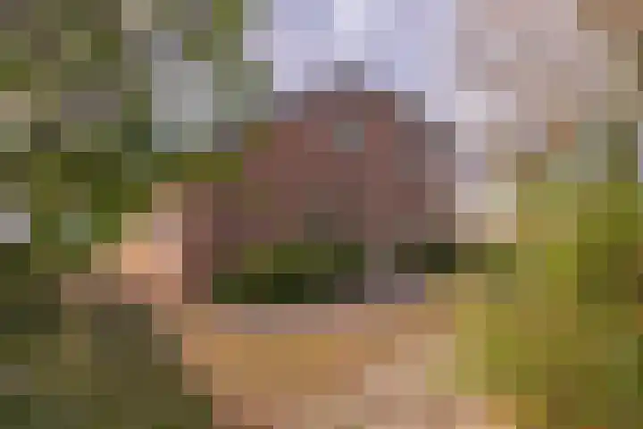 Beelenberg 13 Stein thumbnail 34