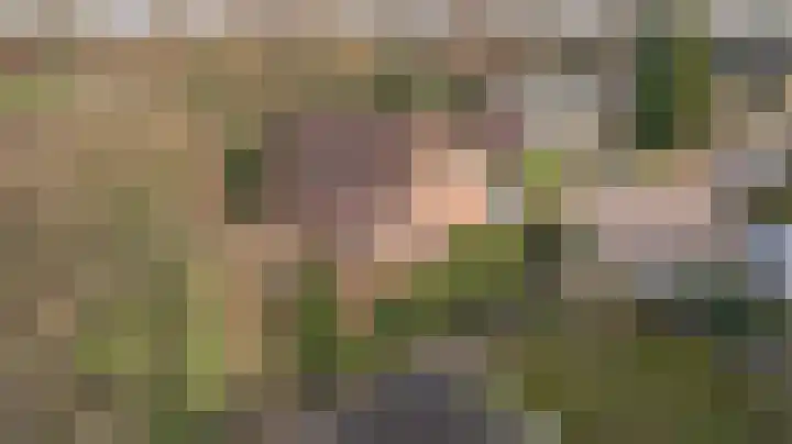 Beelenberg 13 Stein thumbnail 36