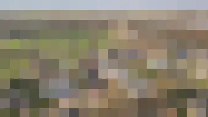 Beelenberg 13 Stein thumbnail 37