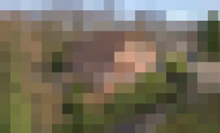 Beelenberg 13 Stein thumbnail 4