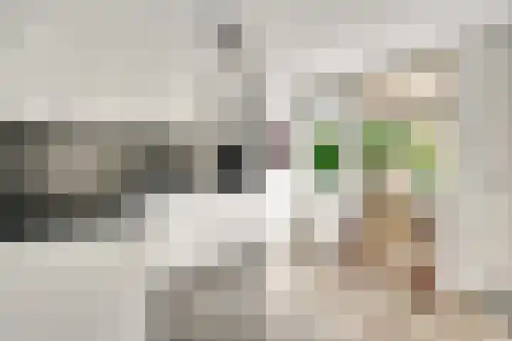 Beeleweg 19 Stramproy thumbnail 14