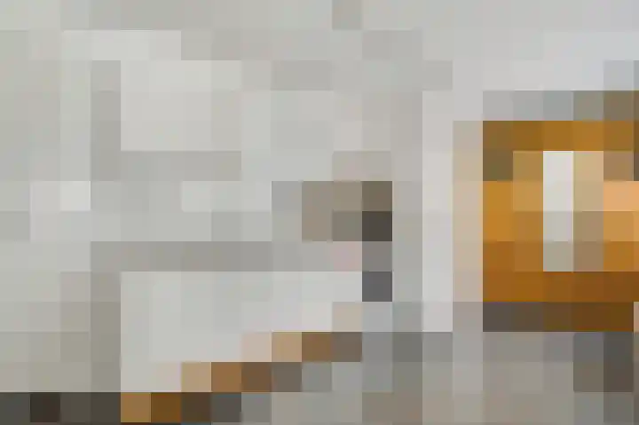 Beeleweg 19 Stramproy thumbnail 22