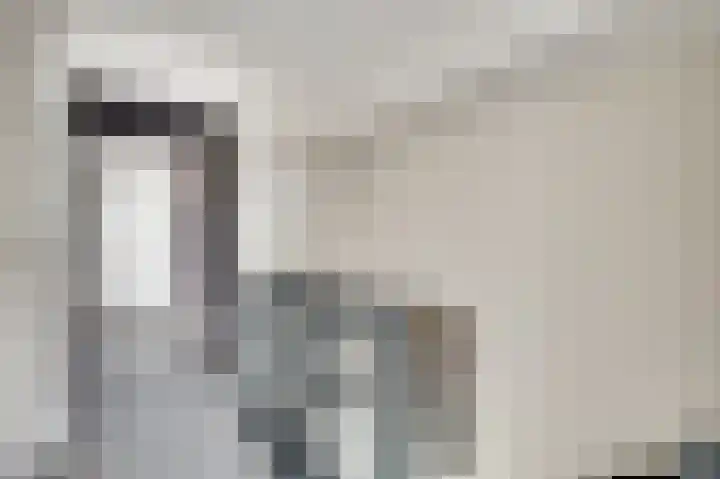 Beeleweg 19 Stramproy thumbnail 23