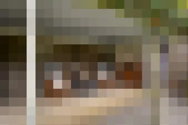 Beeleweg 19 Stramproy thumbnail 35