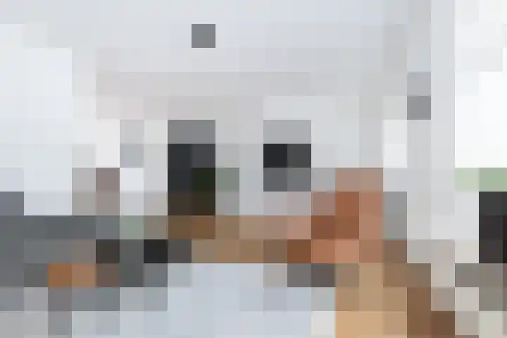 Beelhof 2 Wezep thumbnail 13