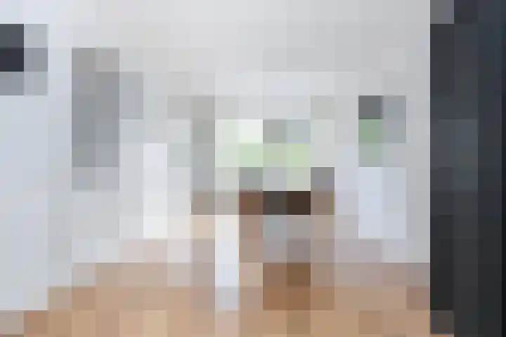 Beelhof 2 Wezep thumbnail 15