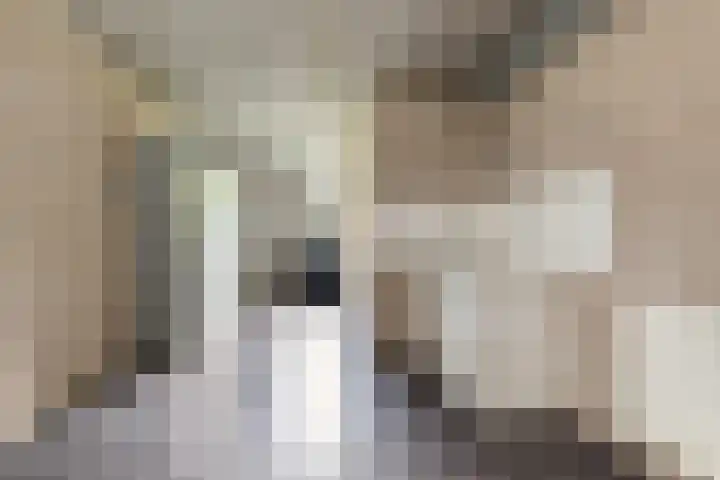 Beelhof 2 Wezep thumbnail 22