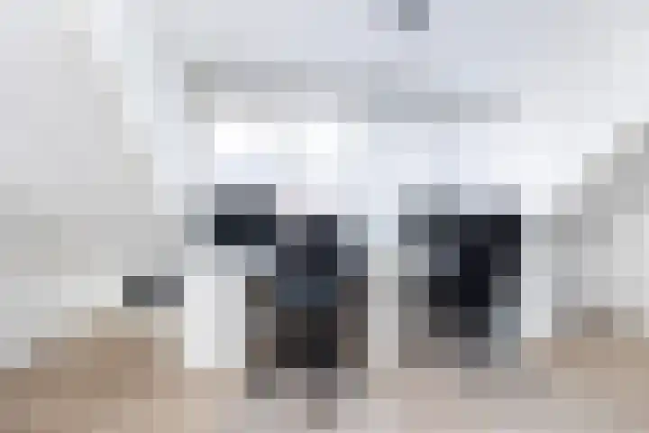 Beelhof 2 Wezep thumbnail 31