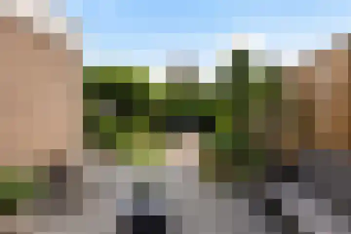 Beelhof 2 Wezep thumbnail 41