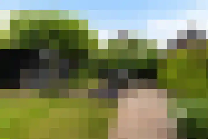 Beelhof 2 Wezep thumbnail 42