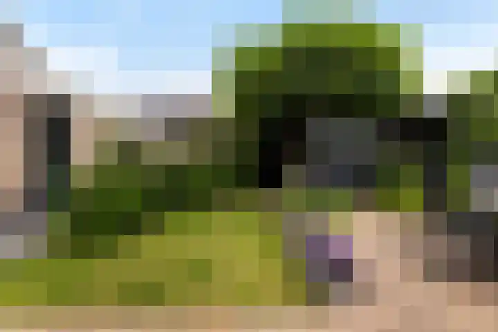 Beelhof 2 Wezep thumbnail 43