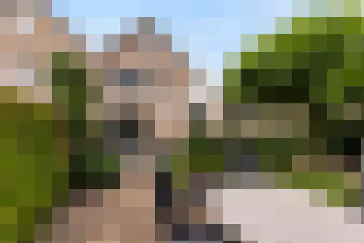 Beelhof 2 Wezep thumbnail 44