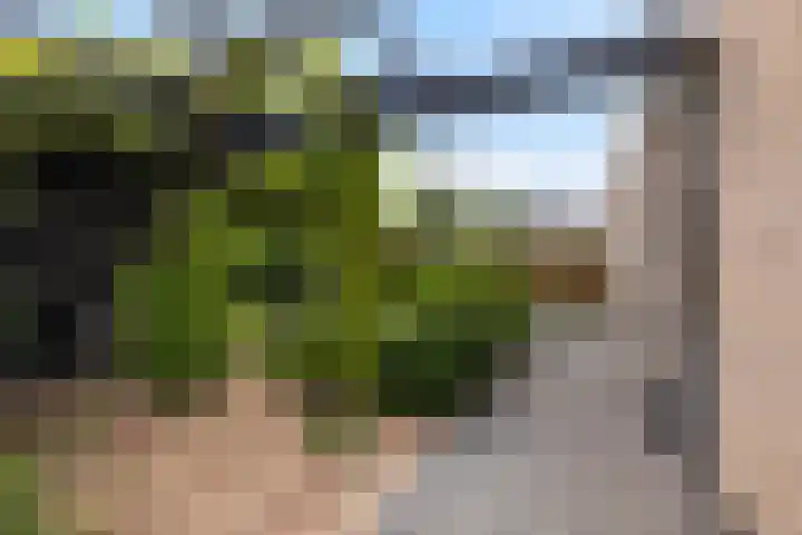 Beelhof 2 Wezep thumbnail 45