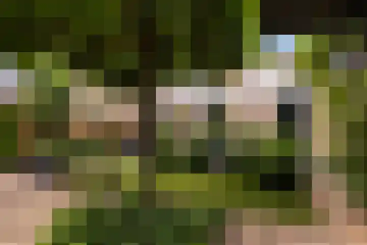 Beelhof 2 Wezep thumbnail 47
