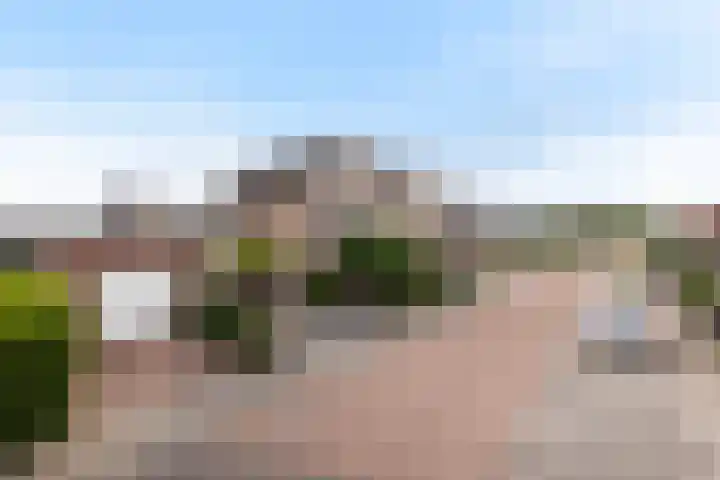Beelhof 2 Wezep thumbnail 5
