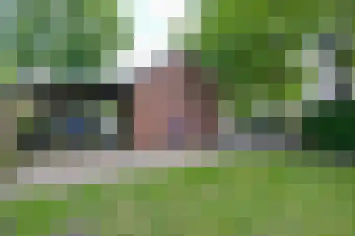 Beelhof 2 Wezep thumbnail 7