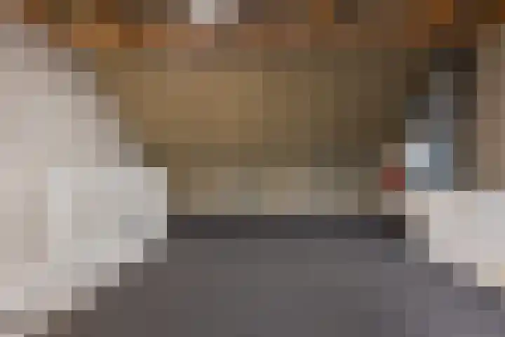 Beelhof 21 Wezep thumbnail 28