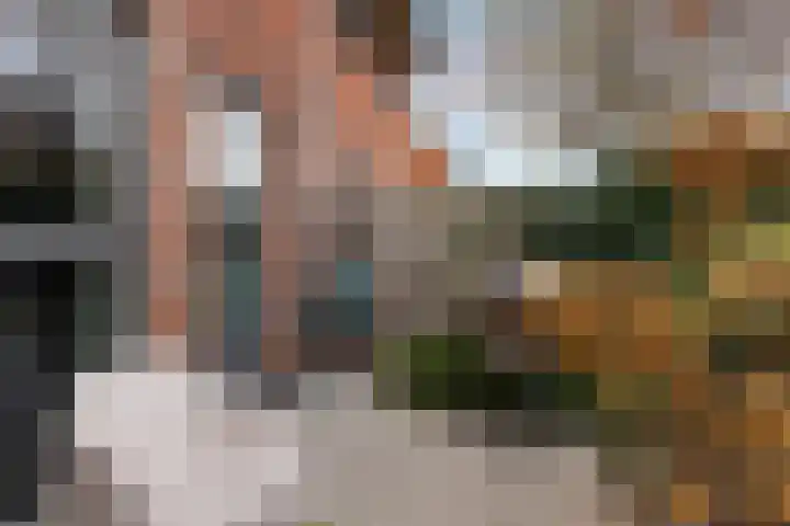 Beelhof 21 Wezep thumbnail 30