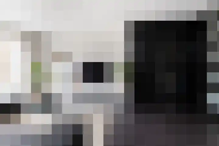 Beelhof 21 Wezep thumbnail 9