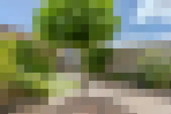 Beellaan 11 Uithoorn thumbnail 33