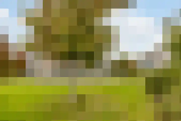 Beellaan 11 Uithoorn thumbnail 37