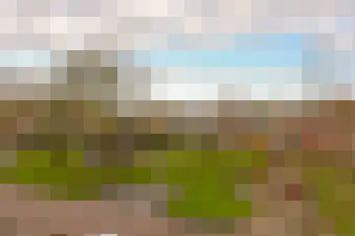 Beemd 25 Spierdijk thumbnail 21