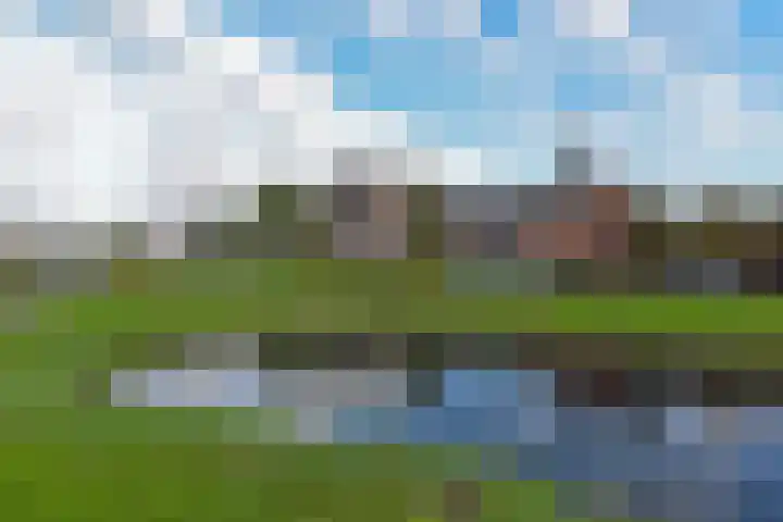 Beemd 25 Spierdijk thumbnail 31