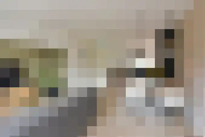 Beemd 25 Spierdijk thumbnail 6