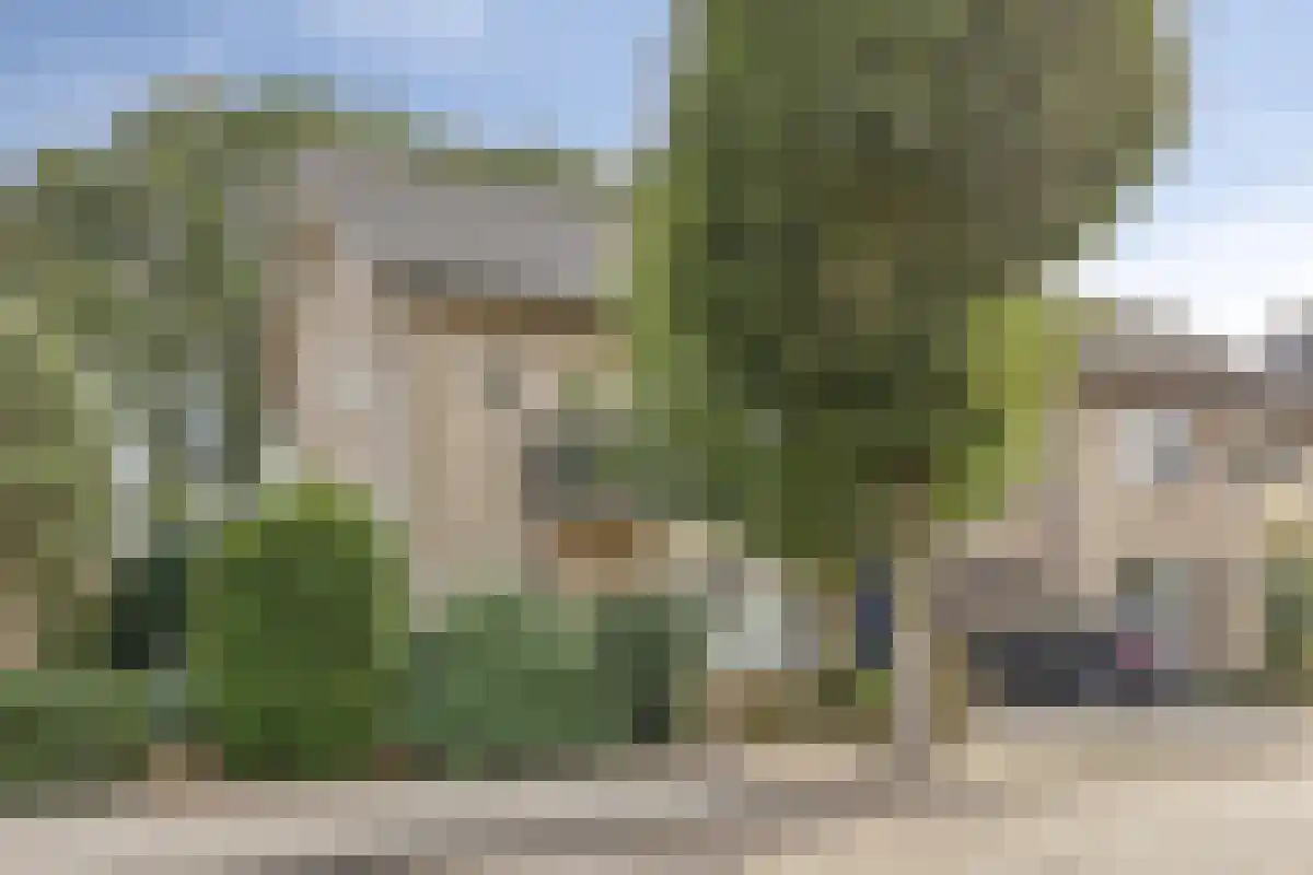Beemd in Bavel