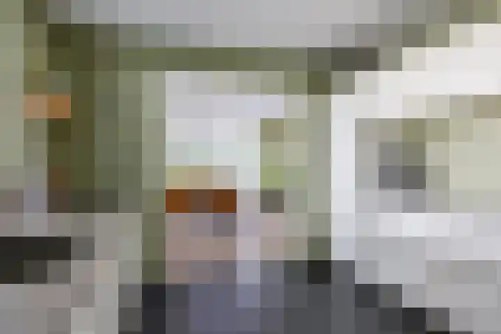 Beemden 23 Reusel thumbnail 14