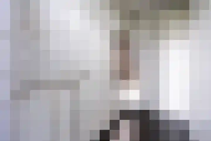 Beemden 23 Reusel thumbnail 16