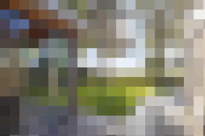 Beemden 23 Reusel thumbnail 36