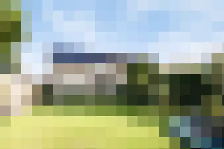 Beemden 23 Reusel thumbnail 38