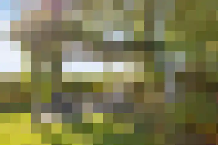 Beemden 23 Reusel thumbnail 39
