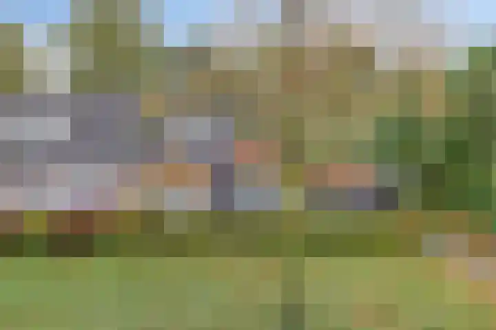 Beemden 23 Reusel thumbnail 43