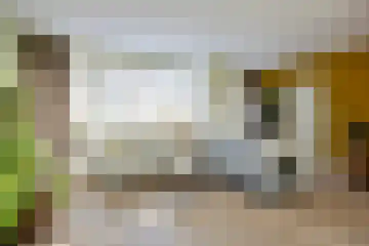 Beemden 23 Reusel thumbnail 7