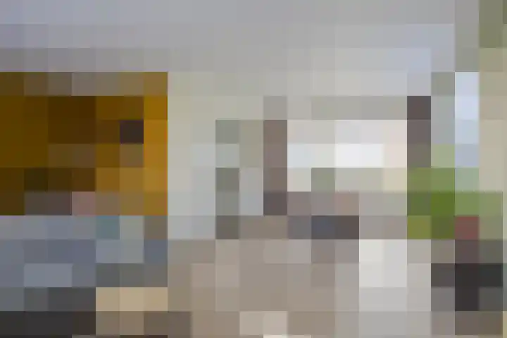 Beemden 23 Reusel thumbnail 8