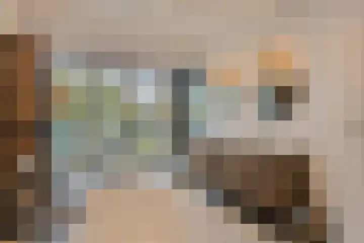 Beemdenlaan 4 Roermond thumbnail 20