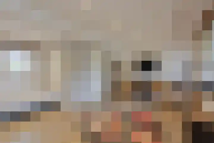Beemdenlaan 4 Roermond thumbnail 25