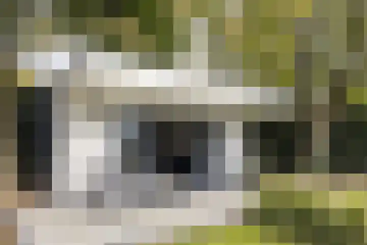 Beemdenlaan 4 Roermond thumbnail 35