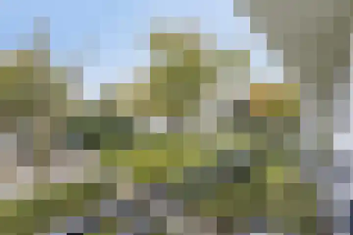 Beemdenlaan 4 Roermond thumbnail 41