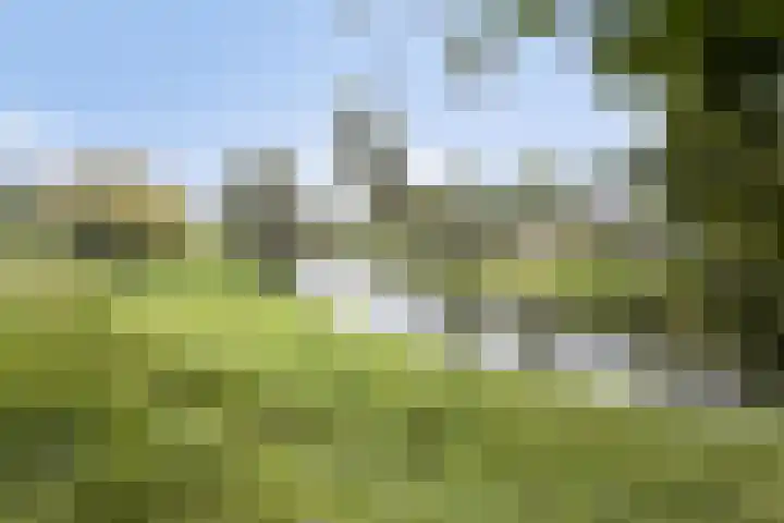 Beemdenlaan 4 Roermond thumbnail 42