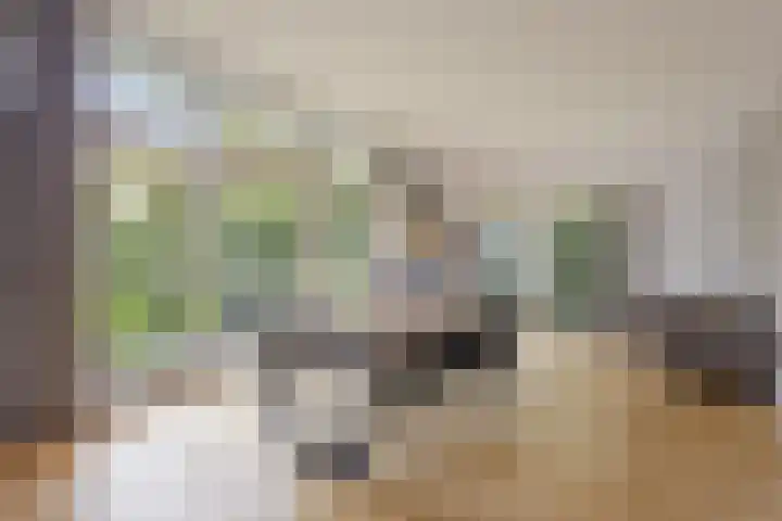 Beemdenlaan 4 Roermond thumbnail 7