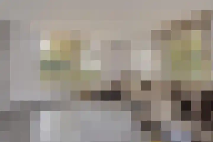 Beemdenlaan 4 Roermond thumbnail 9